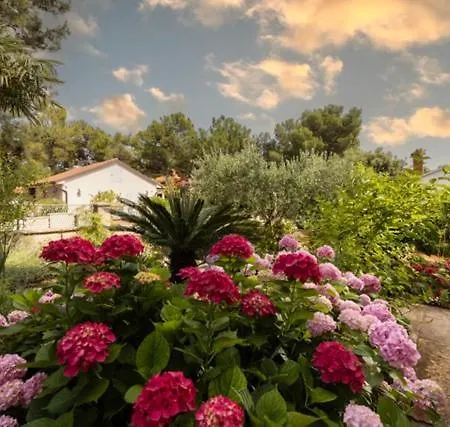 Amelia * Mali Lošinj