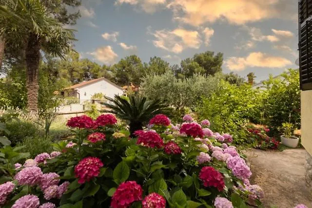 Amelia * Mali Lošinj